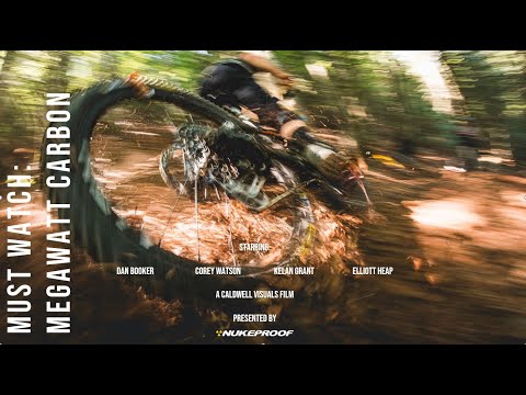 Nukeproof Megawatt 297 Pro T-GX